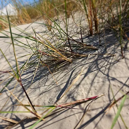 アパート Casa Marina Familijny Premium